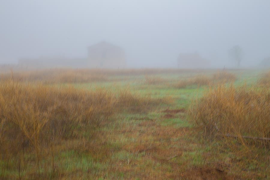 Fotografía pictórica un día de niebla, Braulio Moreno