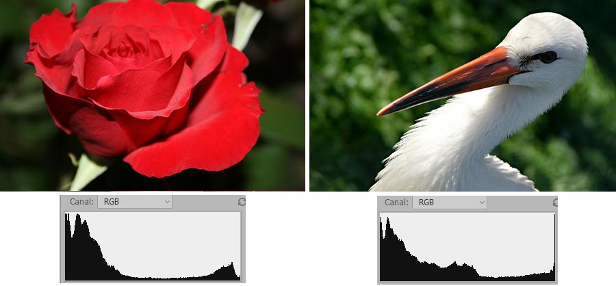 Histograma parecido en fotografías muy distintas