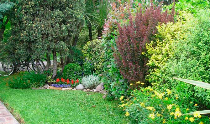 Ejemplo fotografía de jardín sin centro de interés
