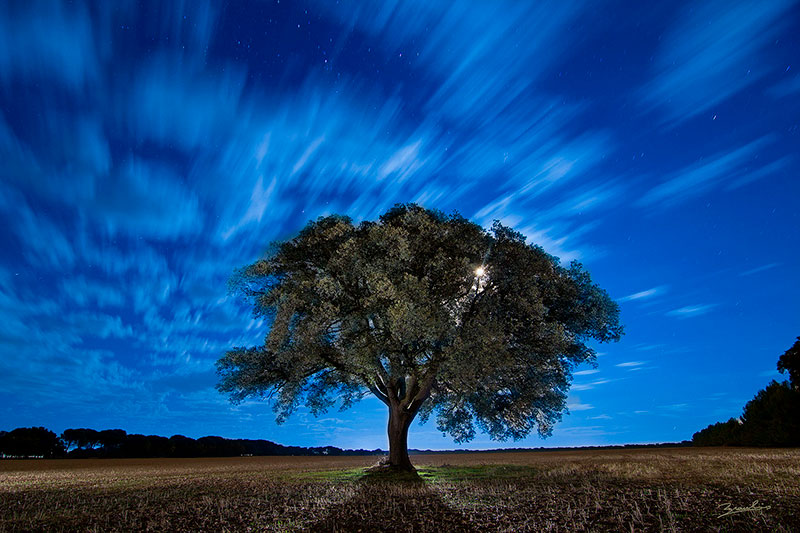 fotografía nocturna, lightpainting, carrasca