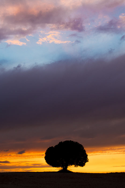 Fotografía atardecer, final de la hora dorada