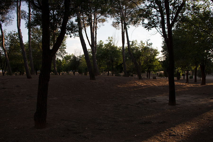 Fotografía al atardecer en un parque, imagen subexpuesta