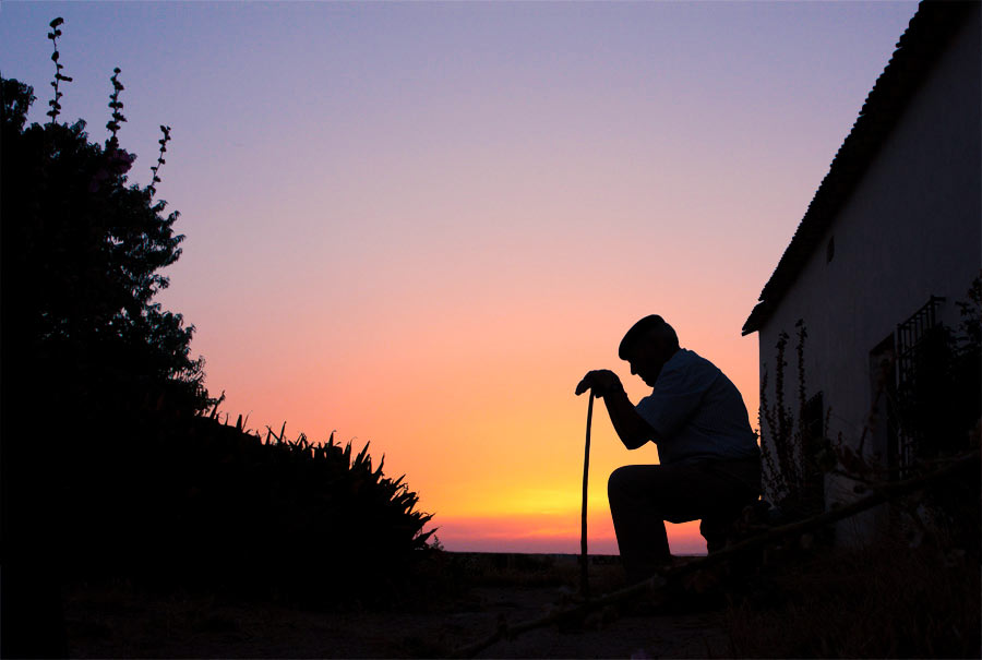 fotografía de contraluz