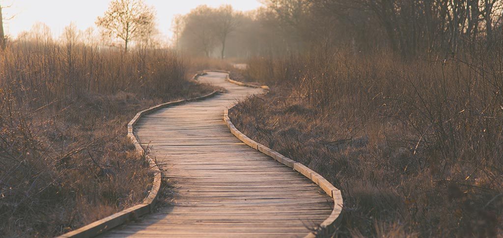 Camino de aprendizaje en la fotografía