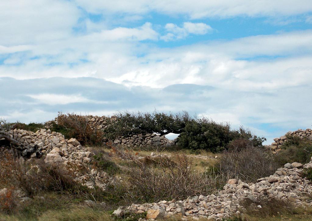 Ejemplo de fotografía de paisaje abigarrada