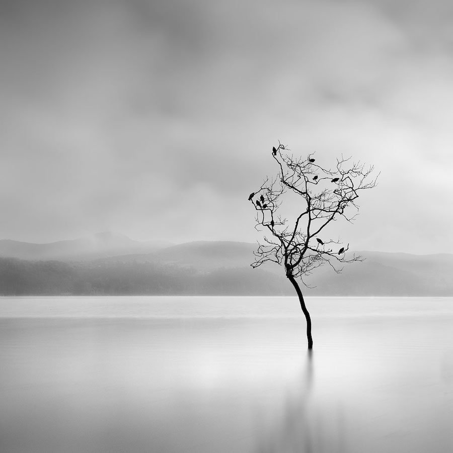 Fotografía George Digalakis