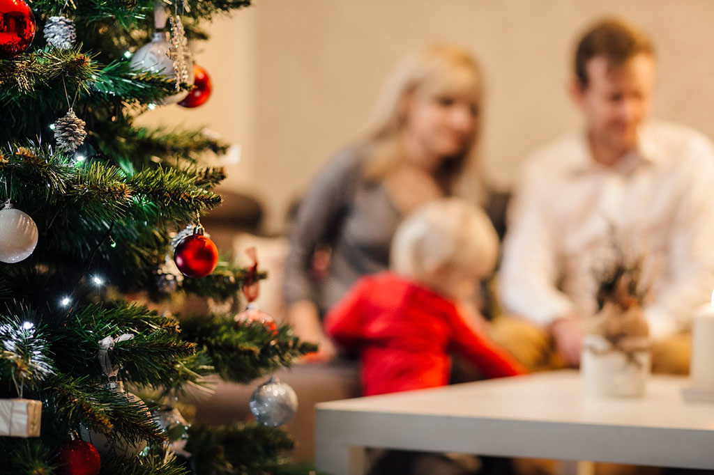 Fotografía de Navidad en familia