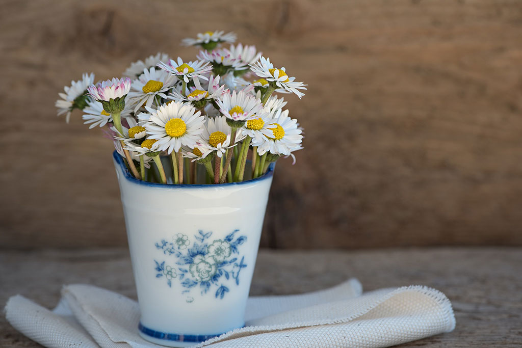 Foto pequeña maceta con flores