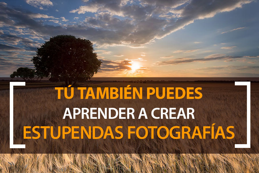 Tú también puedes crear estupendas fotografías