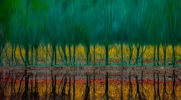 153. El paisaje creativo de Uge Fuertes