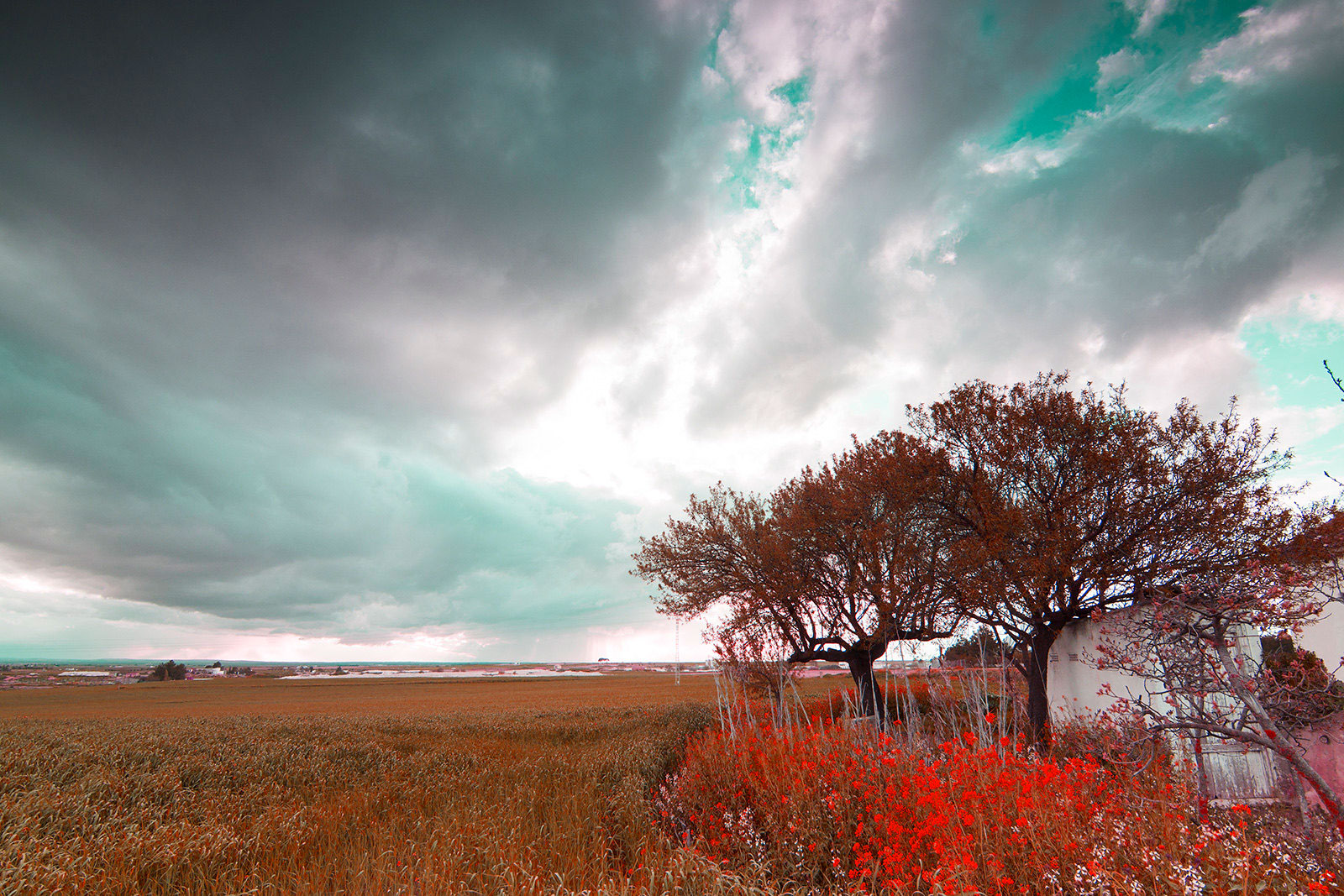 Fotografía de paisaje